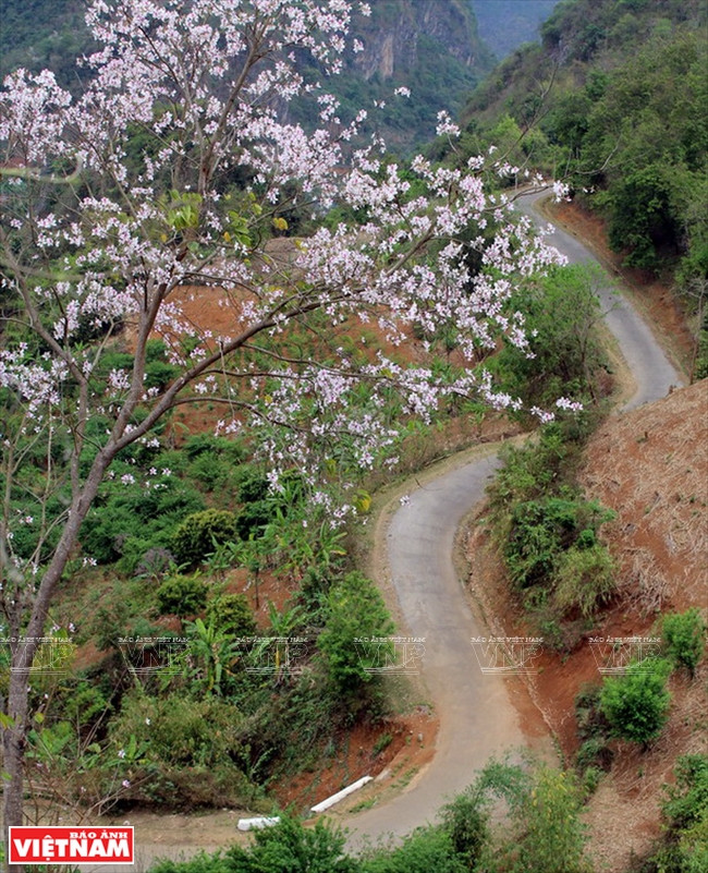  Le col de Pha Din, à 66 km de la ville de Son La, traverse la Nationale 6, à la frontière entre les provinces de Dien Bien et Son La.