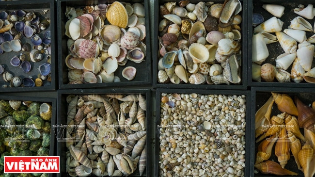  Tran Thi Ngoc Hieu a collecté quelques 70 sortes d’escargots diversifiées et très colorées.