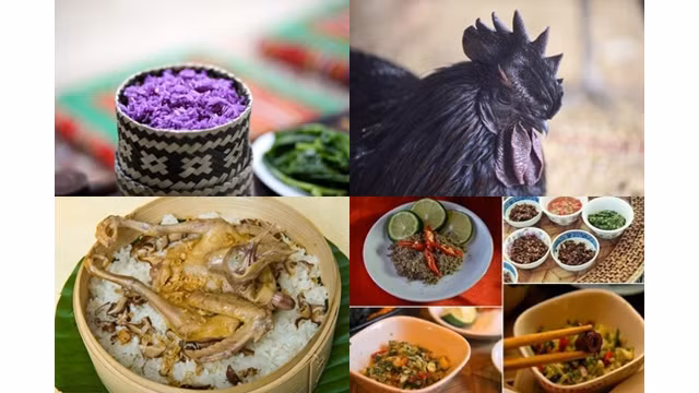  En parlant de la viande de buffle de Muong Nhé, sont inoubliables des spécialités locales comme la viande fraiche de buffle, le ''xôi'' (riz gluant) des Muong à Diên Biên, la viande du coq noir Tua Chùa, ect. 