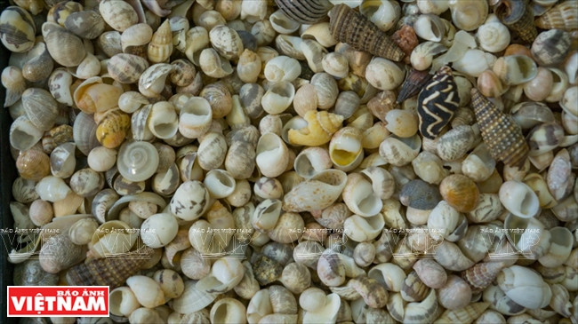  Une jour, un ami britannique de Tran Thi Ngoc Hieu lui a donné des escargots pour créer des objets d’art. Le début d'une grande passion.