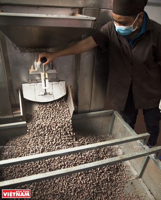  Les fèves de cacao sont torréfiées.