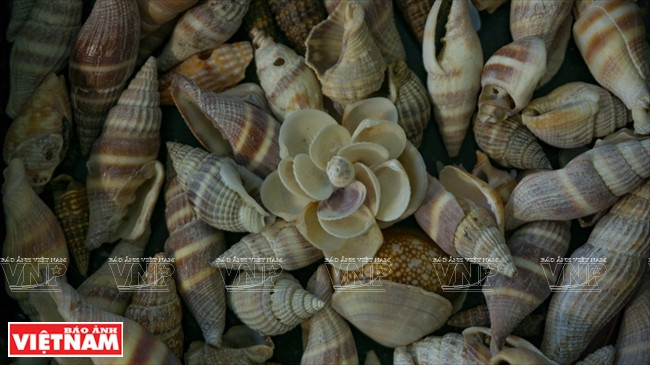  Les coquilles d’escargot sont soit achetées par Tran Thi Ngoc Hieu lors de ses visites de villages de pêcheurs, soit offertes par des proches.