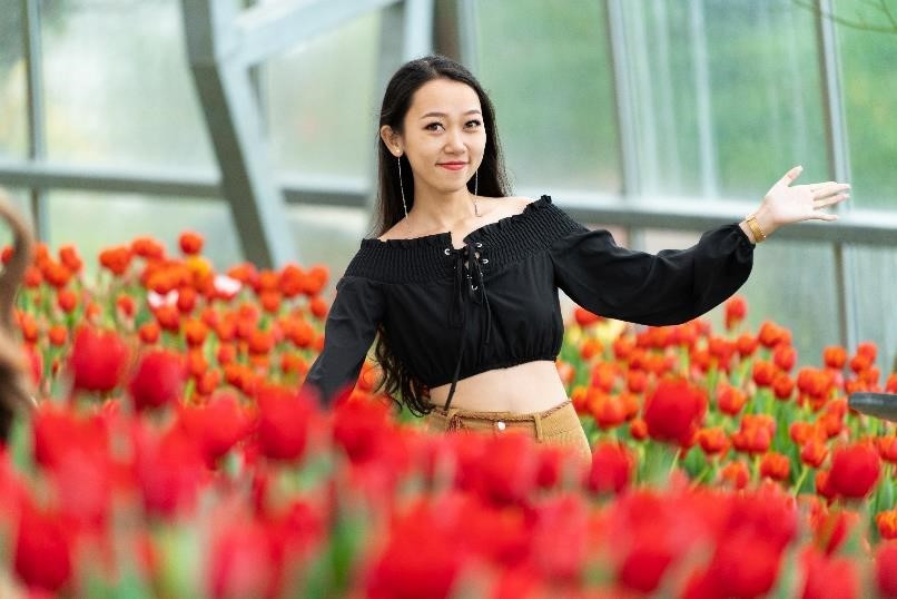  Le festival présente une grande variété de belles tulipes offrant tout un éventail de couleurs vives.