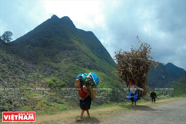  Ma Pi Leng signifie ''dos du nez du cheval'' et son sens figuré indique le danger du sommet où le cheval, en montant un col si haut, peut rendre son dernier soupir. Du sommet, le touriste embrasse du regard toute la rivière Nho Que aux eaux tumultueuses et des montagnes à perte de vue. 