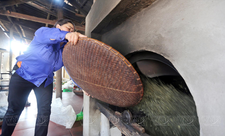 Le traitement du thé dans la coopérative de production du thé sûr de la commune de Long Coc.