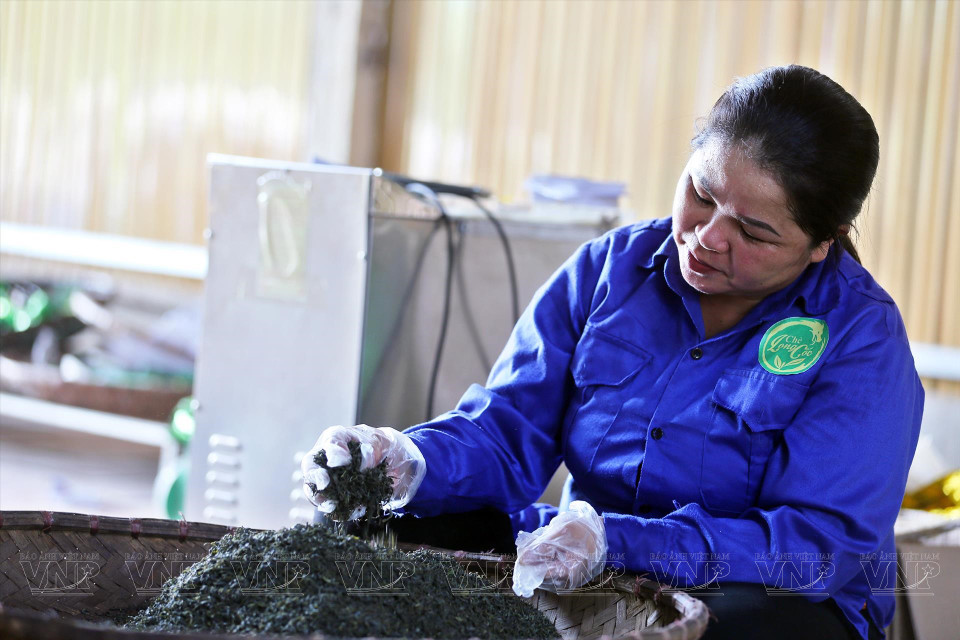 Le thé est transformé selon une méthode traditionnelle artisanale, avec un secret transmis de génération en génération, en utilisant des moyens garantissant les normes d'hygiène et de sécurité. 