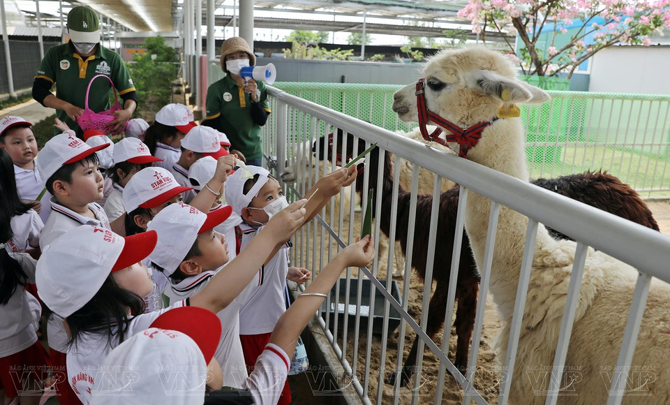 Des enfants ravis de nourrir des animaux. 