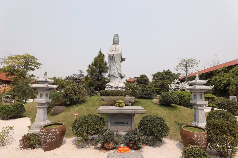 L'espace paisible de la pagode avec de nombreux arbres.