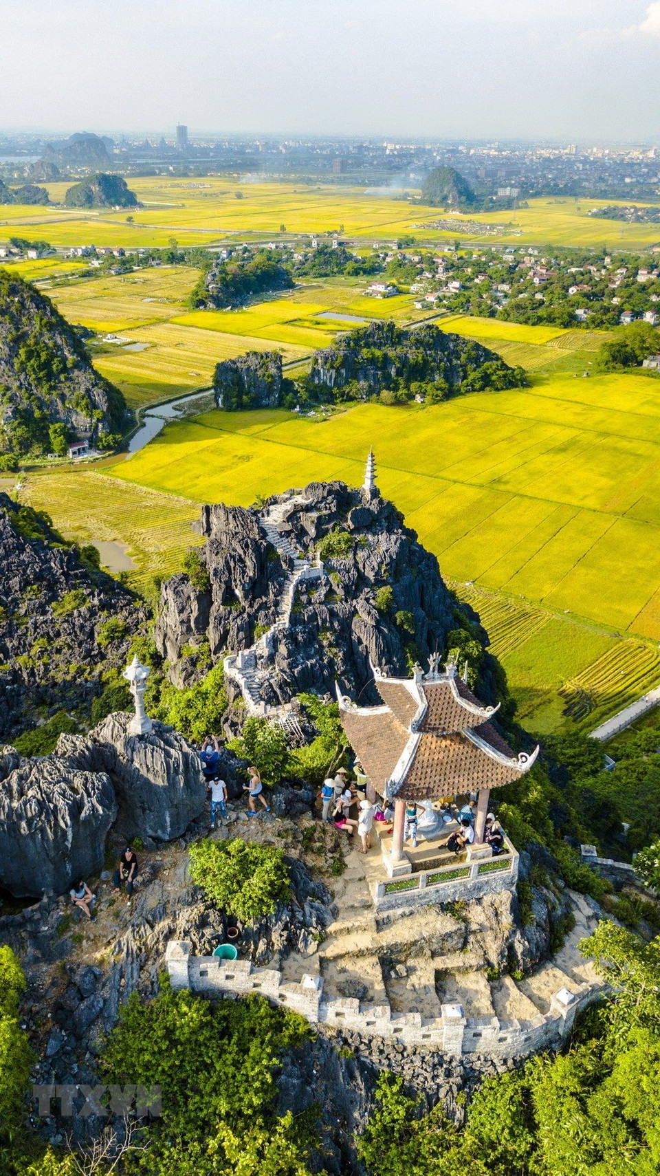Un coin de Ninh Binh illuminé des regards rêveurs, la rivière coulant entre des rizières de couleur or.