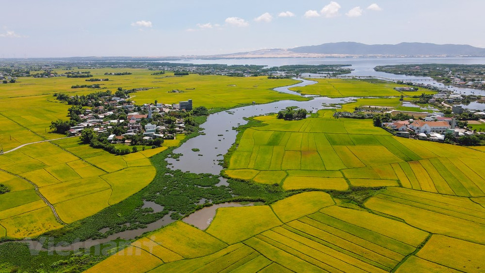 De loin, l'église apparaît comme un point culminant parmi les vastes champs verts, créant une belle image. Photo: VietnamPlus