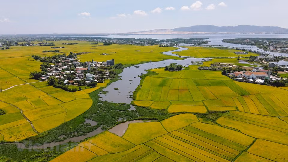 De loin, l'église apparaît comme un point culminant parmi les vastes champs verts, créant une belle image. Photo: VietnamPlus