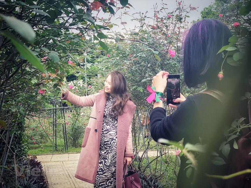 Des fleurs colorées séduisent les touristes. Photo: Vietnam+