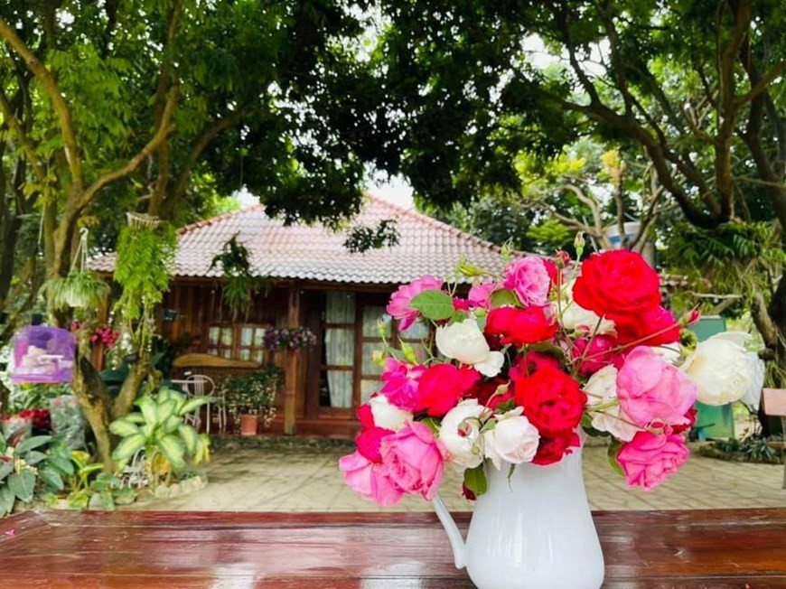 Des roses bio produites dans cette roseraie. Photo: Vietnam+