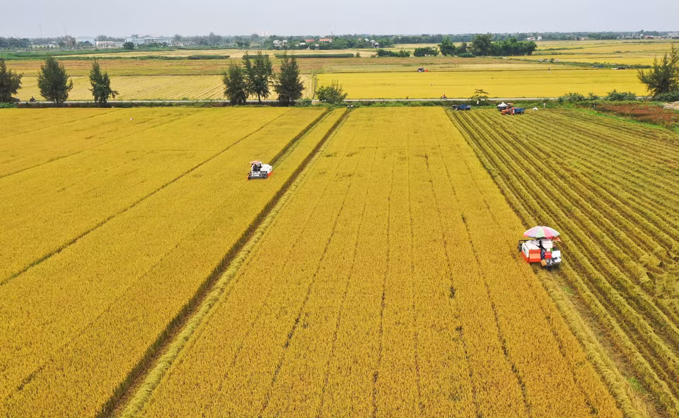 Le Vietnam est devenu un grand exportateur mondial de produits agricoles. Photo: VNA 