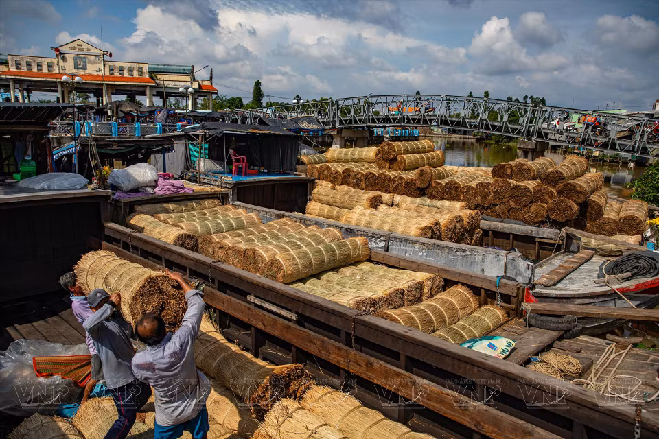 Le jonc est la matière première principale employée pour fabriquer des nattes tressées. Cette plante est achetée dans la localité ou dans les provinces voisines et transportée par voie fluviale au village de Dinh Yen. 