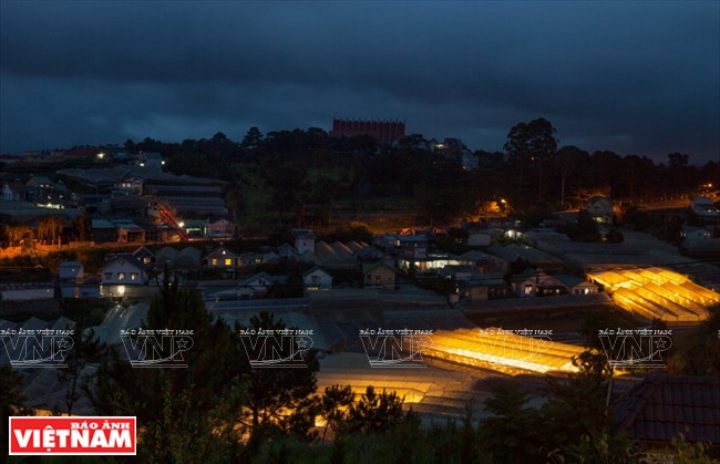 La beauté des serres quand la nuit tombe. 