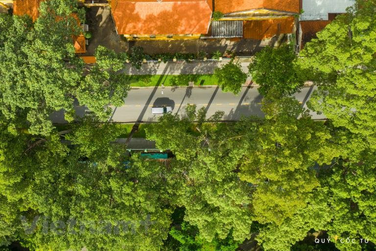 La maxime "mieux vaut prévenir que guérir" est aussi vieille que vraie. Photo: VietnamPlus