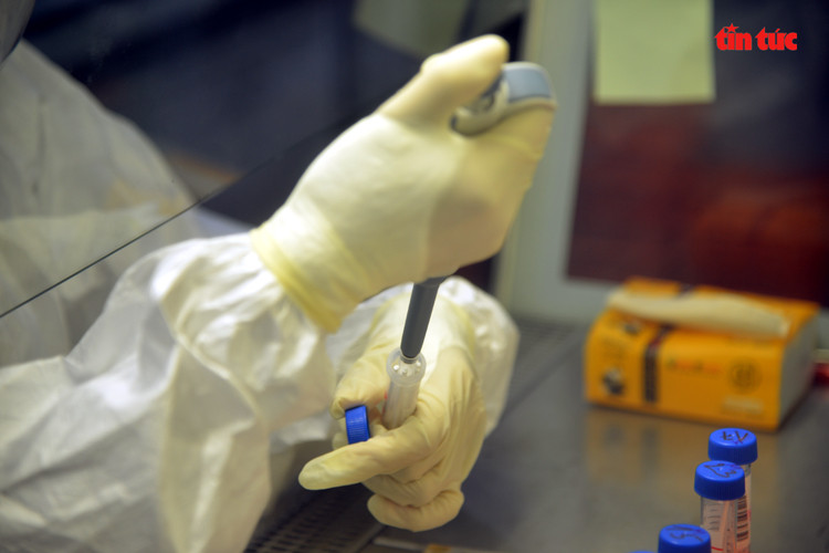 La capacité journalière moyenne des laboratoires mobiles au Sud est de 800 échantillons. Photo: VNA