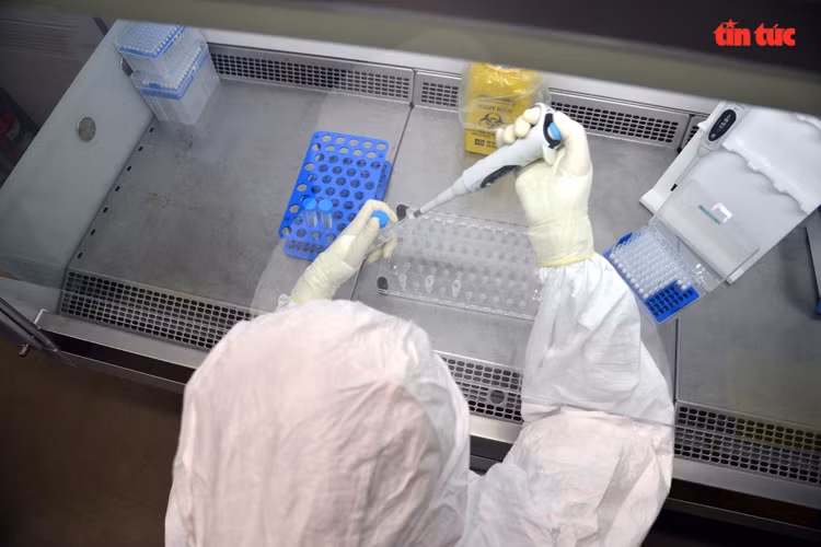 Chaque laboratoire mobile peut traiter environ 400 échantillons par jour. Photo: VNA