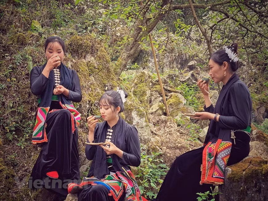 Animé par le projet de préserver les théiers vietnamiens, Nguyên Cao Son s’est rendu dans certaines régions cultivatrices de thé du Nord. Il a rencontré des agriculteurs et les a encouragés à appliquer des techniques agricoles plus avancées, allant du soin des plantes à la cueillette des feuilles vertes et des bourgeons en passant par l’étape de torréfaction du thé brut. "Changer le mode de production a pris du temps. Mais, au vu des résultats, les cultivateurs sont convaincus de l’efficacité des nouvelles techniques agricoles. Les produits qui sont de meilleure qualité se vendent désormais à des prix plus élevés. Et notre compagnie en assure la vente", explique Nguyên Cao Son. Photo: Vietnamplus