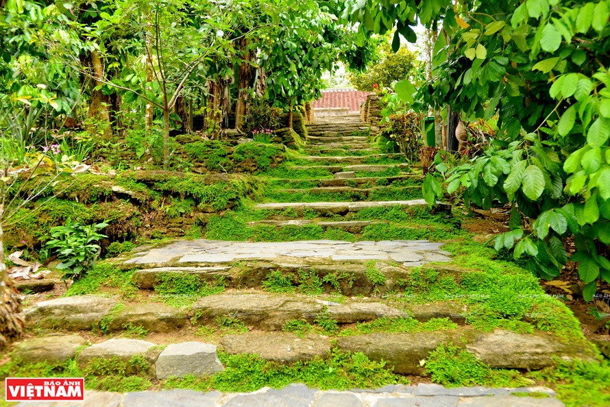 Une ancienne maison cachée sous les ombrages. 