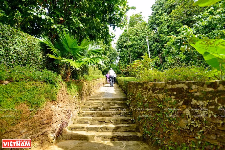 Ruelle ombragée