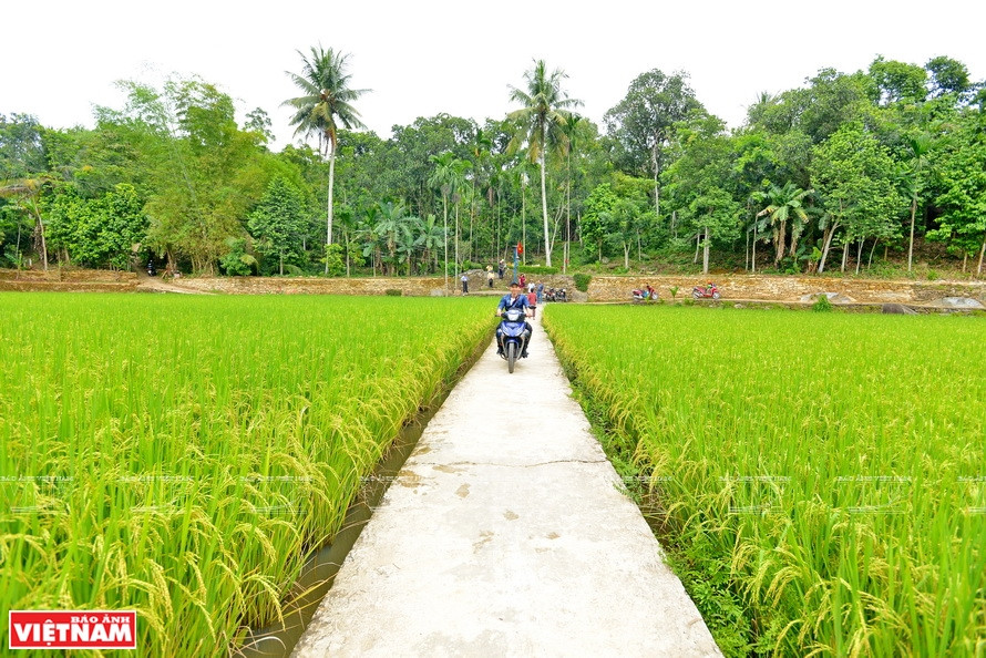 Paysage paisible au village de Lôc Yên.