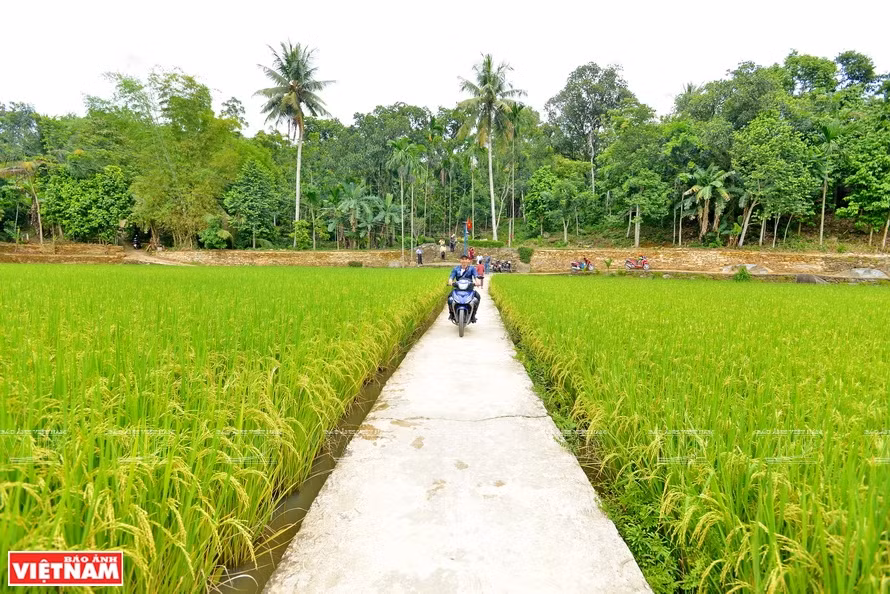 Paysage paisible au village de Lôc Yên.