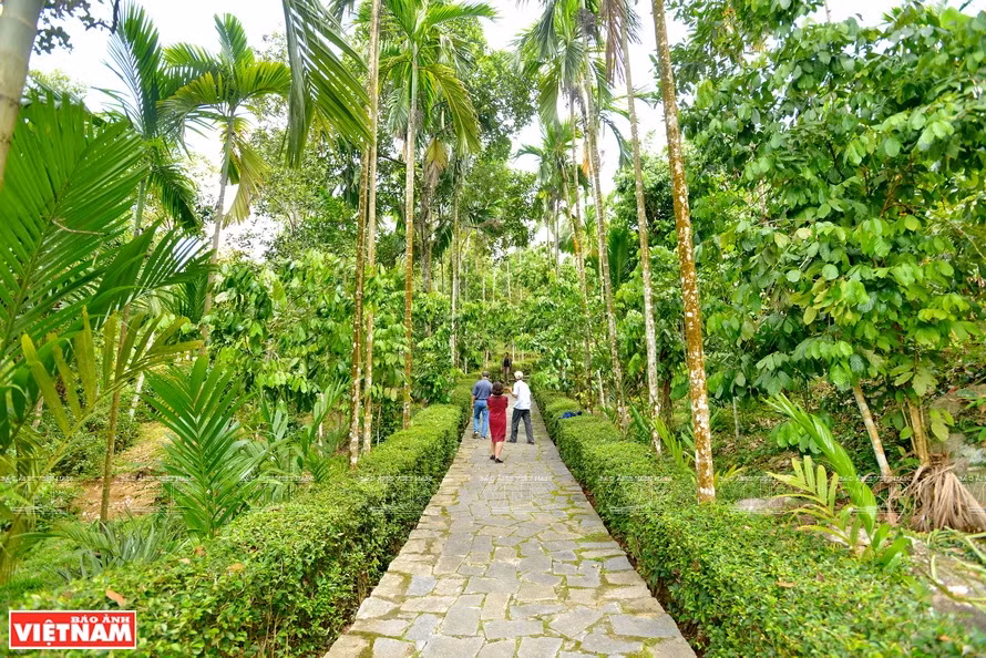 Un jardin luxuriant