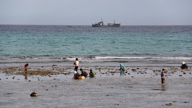 Habitants cherchant de la nourriture au coucher du soleil.