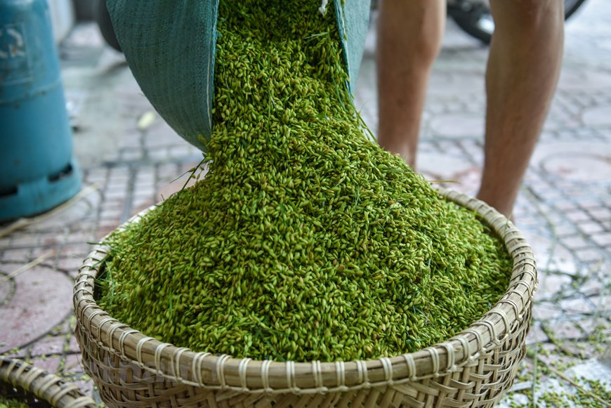  On peut faire du côm quand les graines de riz commencent à arriver à maturité. Selon les explications de maîtres dans l’art de préparer cet encas, les graines dont l’écorce reste encore verte sont vannées pour éliminer les graines creuses et ne garder que les meilleures. D’abord, le riz gluant est torréfié sur le feu de bois, puis pilé et enfin, tamisé plusieurs fois pour être débarrassé de son écorce. Selon les artisans, parmi tous les riz gluants, c’est le nêp cai hoa vàng qui permet de faire le meilleur côm. C’est un régal de déguster du côm emballé dans une feuille de lotus et tout juste sortie du champ. Photo: VietnamPlus 