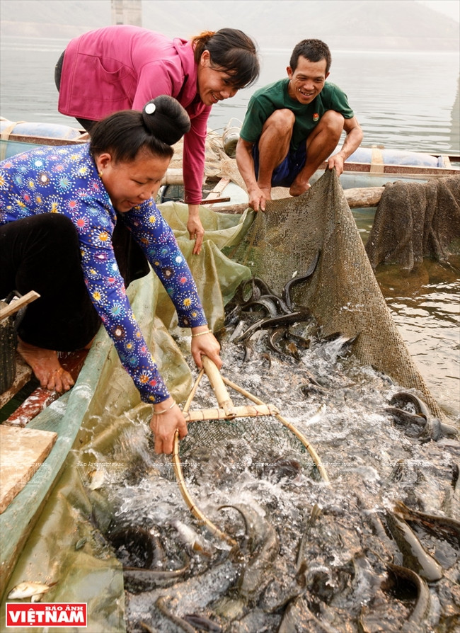 L'aquaculture s’est développée assez fortement dans les communes de Chiêng On, Chiêng Bang et Muong Chiên, district de Quynh Nhaï. La commune de Chiêng Bang dispose, elle seule, de 72ha, avec 155 cages de poissons et plus de 100 familles impliquées.