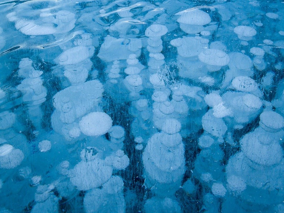  Chaque hiver au Canada, on peut observer sous la surface du lac Abraham de curieuses colonnes blanches composées de bulles de méthanes gelées. Credit photo : Huffington Post