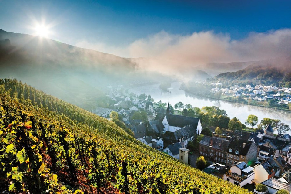 La belle vallée de la rivière Moselle en Allemagne vue à partir des vignes sur les collines. 