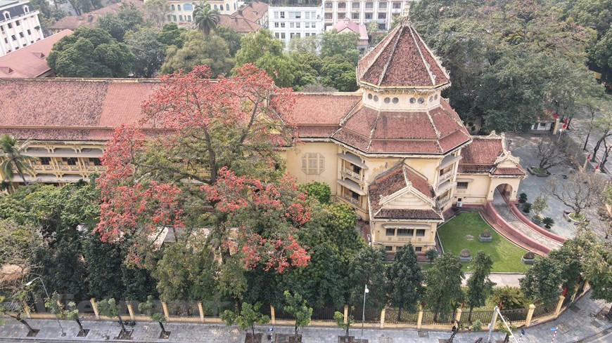 Le Musée national d’histoire du Vietnam, sis au n°01, rue de Tràng Tiên, arrondissement de Hoàn Kiêm, à Hanoi, abrite l’un des plus grands et plus beaux kapokier de la capitale vietnamienne. Chaque année, vers la fin du printemps, quand commencent les premières chaleurs d’avril, les grandes fleurs rouge vif du kapokier font étalage de leur couleur rouge vif sur le fond azuré du ciel, teignant en rouge tout un coin de rue. Leur beauté a inscité les curateurs du musée à organiser avec l’agence de voyages Hanoitourist une visite quotidienne sur le thème évocateur "Bac Cô - Saison du kapokier". Photo: VietnamPlus
