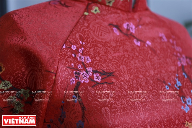 Branche de pêcher en fleurs - un motif emblématique du printemps qui débute.