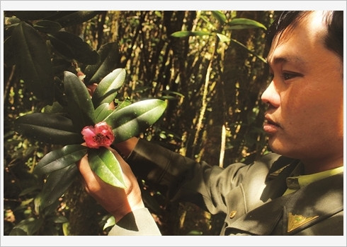 La réserve est un écrin exceptionnel pour les botanistes.