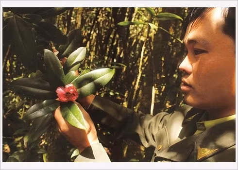 La réserve est un écrin exceptionnel pour les botanistes.