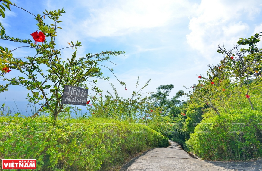 Le phare antique est vraiment une destination accueillante pour les visiteurs qui effectuent un court voyage dans la péninsule de Son Tra.