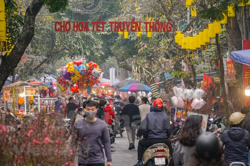 Même si Hanoï abrite divers marchés aux fleurs célèbres, pour ceux qui ont de bons souvenirs du Têt traditionnel de la ville, le marché aux fleurs de la rue Hang Luoc reste une destination incontournable à l'approche du Têt ou Nouvel An lunaire, la fête la plus importante de l'année pour les Vietnamiens et un moment propice aux réunions de famille. Une fois par an, avant le Têt traditionnel, le Vieux quartier de Hanoï devient beaucoup plus trépidant avec l'ouverture du marché aux fleurs de Hang Luoc. Glaïeul, dahlia, violette, fleurs de pêchers et arbres kumquat, entre autres. Toutes sortes de fleurs traditionnelles se trouvent sur le marché aux fleurs Hang Luoc, à Hanoï. Photo: VietnamPlus