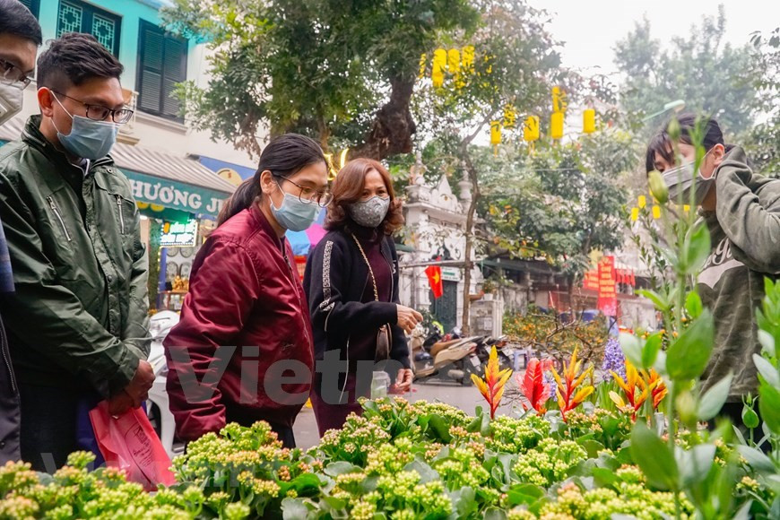 La particularité de ce marché aux fleurs traditionnel du Têt est qu'il ne se réunit qu'une fois par an, du 15 au 30 du 12e mois lunaire. Le marché aux fleurs devient de plus en plus encombré à l'approche du Têt, créant une atmosphère animée distinctive dans la capitale. La plupart des Vietnamiens commencent les préparatifs du Têt un mois avant la fête. Ils croient que les fleurs et les plantes ornementales illumineront leur maison et porteront chance à la famille l'année prochaine. Par conséquent, visiter les marchés aux fleurs est une tâche indispensable et confortable qui signale l'arrivée d'une nouvelle année. Photo : VietnamPlus