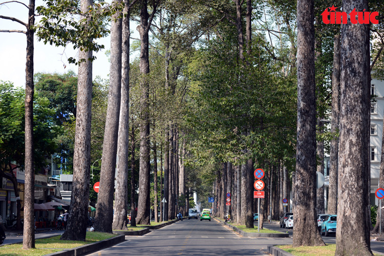 La rue Ngô Gia Tu (arrondissement 5). Photo : baotintuc.vn