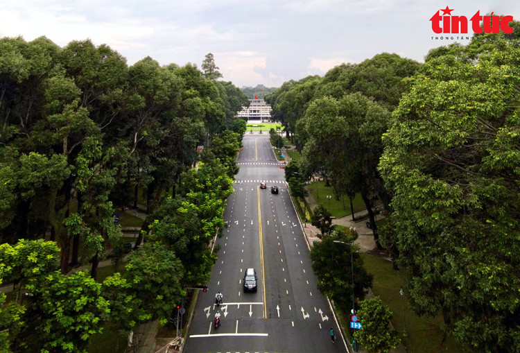 Le boulevard Lê Duân (arrondissement 1), long d'environ 2 km, relie le Thao Câm Viên (jardin zoologique et botanique) au Palais de l'Indépendance. Il est bordé de deux rangées d'arbres. Photo : baotintuc.vn