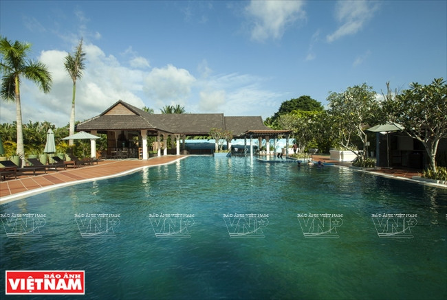 Une piscine au sein de Forever Green Resort.