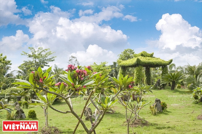 Des espaces verts au sein de Forever Green Resort. 