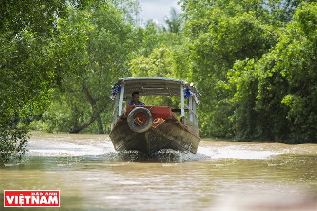 Une excursion fluviale dans le district de Chau Thanh
