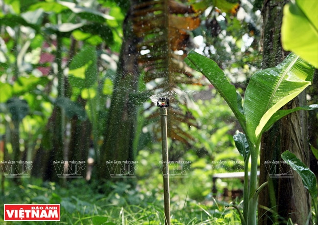 Système d’arrosage automatique.