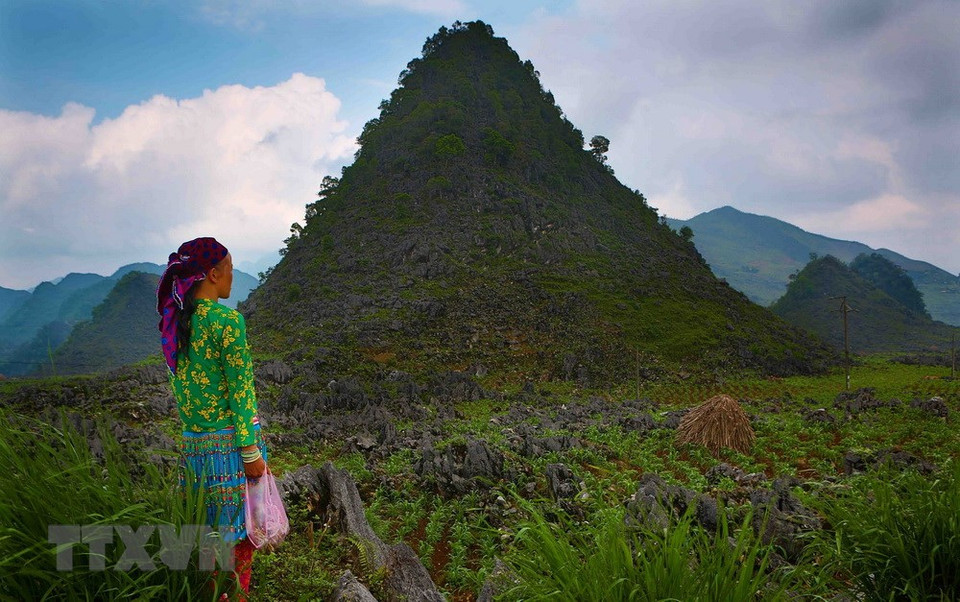 Une femme sur le plateau calcaire de Dông Van.