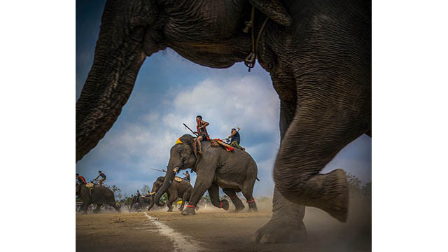 L'œuvre « Le pas de la futaie » de Trân Huu Hat.