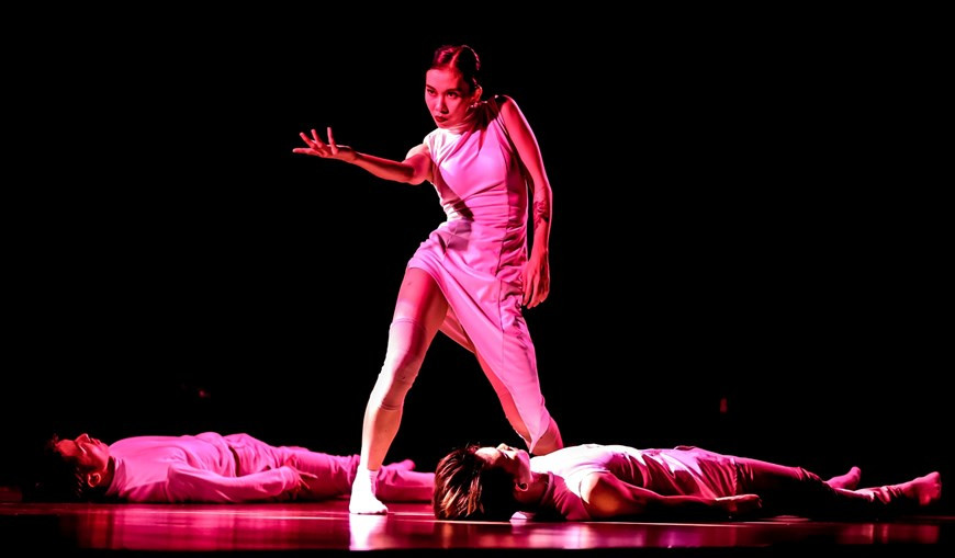 La représentation de la danseuse vietnamienne Nhu Y a été beaucoup appréciée du chorégraphe singapourien Danny Tan. Photo: Vietnam+